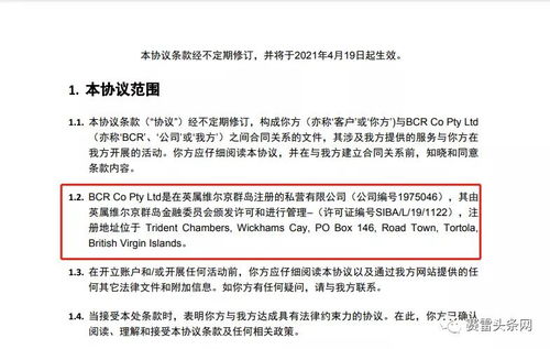 咨詢反遭辱罵，百匯BCR客服為何如此猖狂？——社會經濟咨詢服務背后的行業亂象與反思